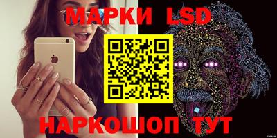 мдпв Новозыбков