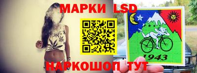 мдпв Новозыбков