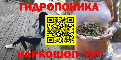 мдпв Новозыбков