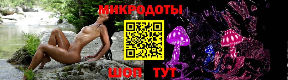 Псилоцибиновые грибы Psilocybe Сегежа